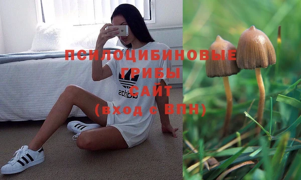 jwh Бородино