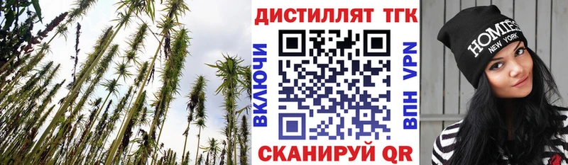 закладка  Колпашево  ТГК жижа 