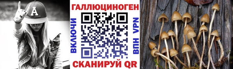 Галлюциногенные грибы Cubensis  Колпашево 
