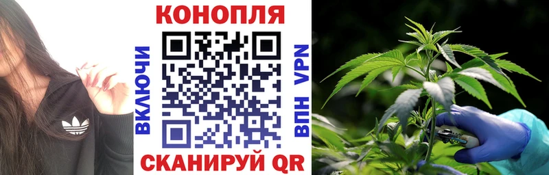мега рабочий сайт  Колпашево  Конопля план 